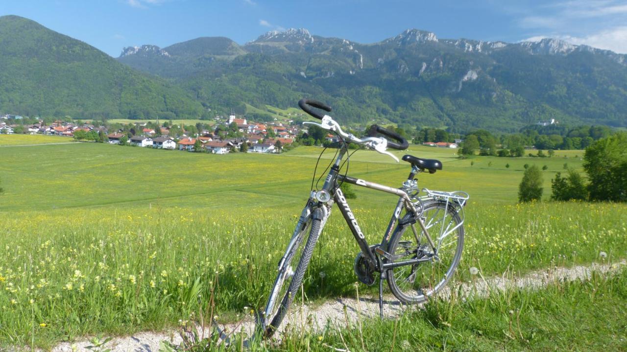 Hotel Wirtshaus Zum Baumbach Aschau im Chiemgau Zewnętrze zdjęcie